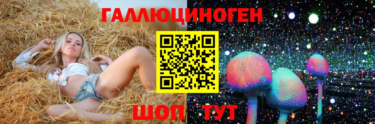 Псилоцибиновые грибы мицелий Спасск-Дальний